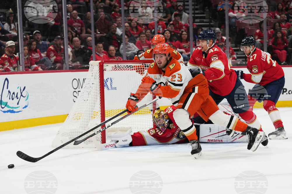 Ducks Panthers Hockey