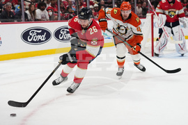 Ducks Panthers Hockey