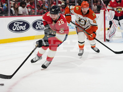 Ducks Panthers Hockey