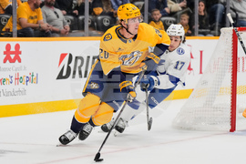 Lightning Predators Hockey