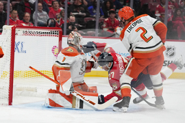 Ducks Panthers Hockey