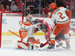 Ducks Panthers Hockey