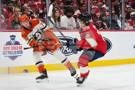 Ducks Panthers Hockey