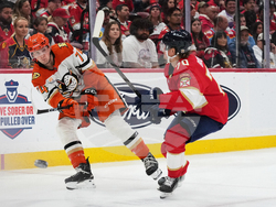 Ducks Panthers Hockey