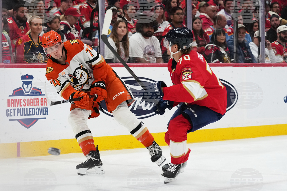 Ducks Panthers Hockey