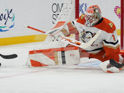 Ducks Panthers Hockey