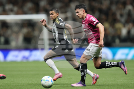 Brazil Ecuador Soccer Copa Sudamericana