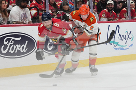 Ducks Panthers Hockey