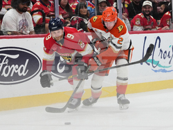 Ducks Panthers Hockey