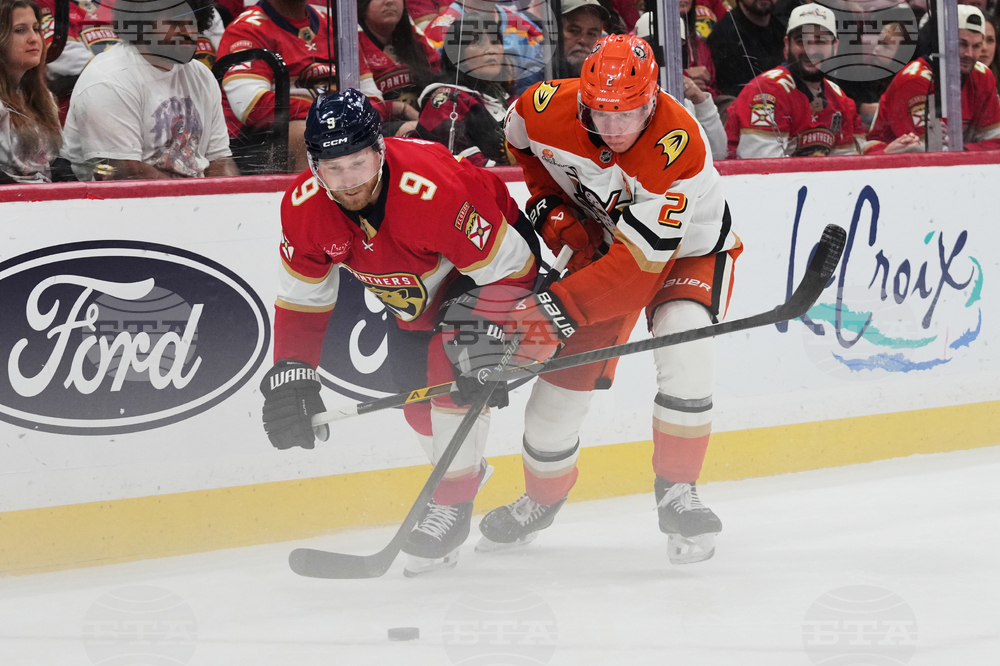 Ducks Panthers Hockey