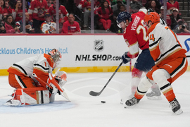 Ducks Panthers Hockey