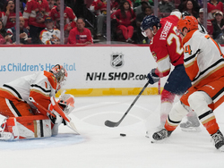 Ducks Panthers Hockey