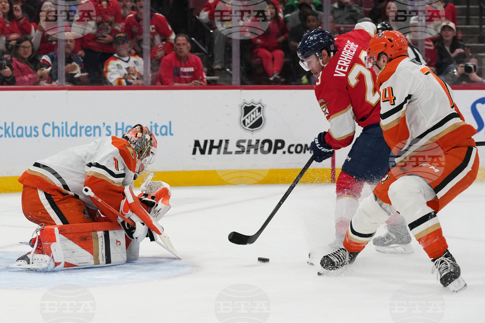 Ducks Panthers Hockey