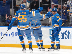 Red Wings Blues Hockey