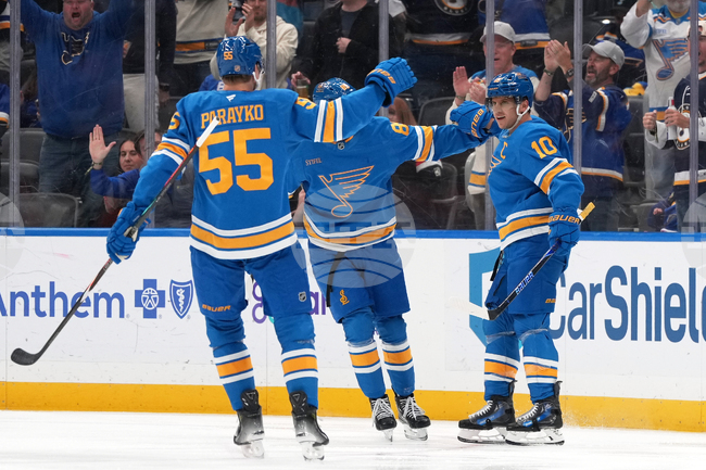 Red Wings Blues Hockey