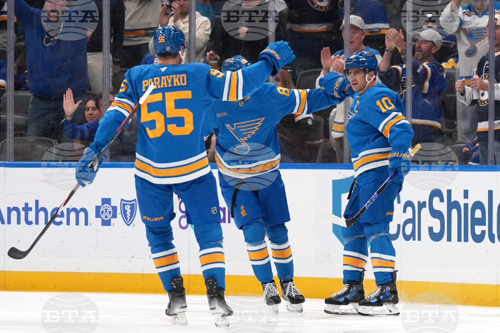 Red Wings Blues Hockey