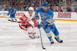 Red Wings Blues Hockey