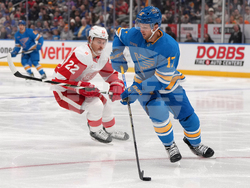 Red Wings Blues Hockey