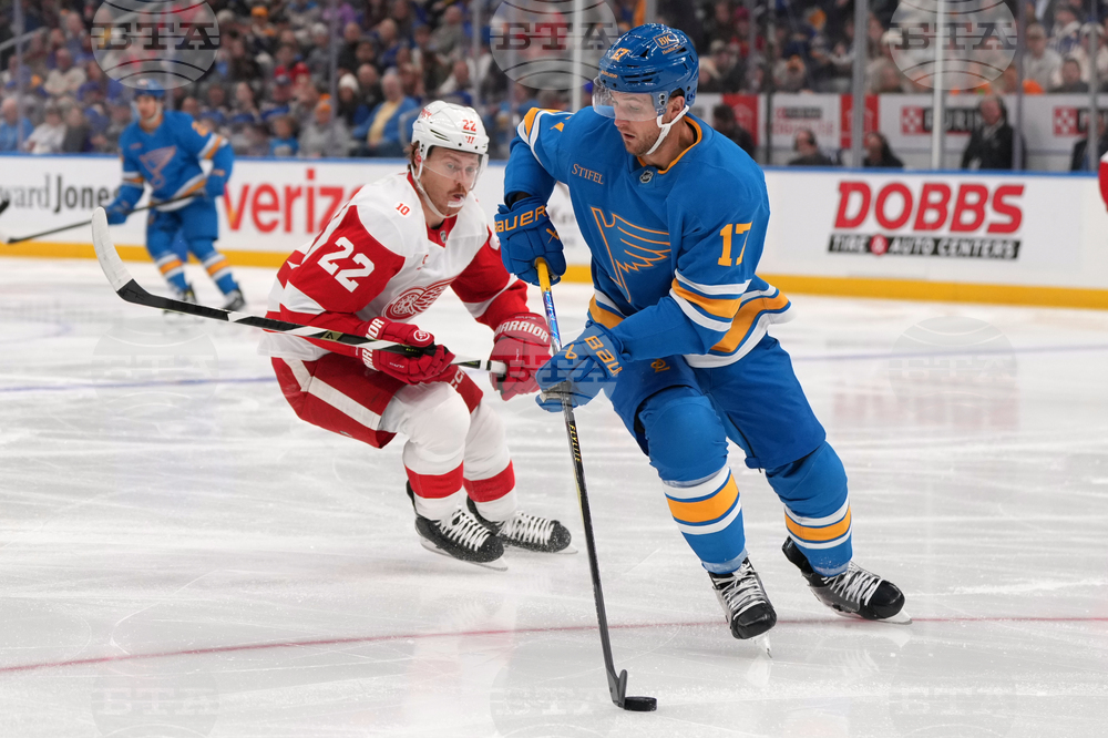 Red Wings Blues Hockey