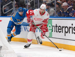 Red Wings Blues Hockey