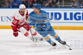 Red Wings Blues Hockey