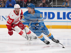 Red Wings Blues Hockey