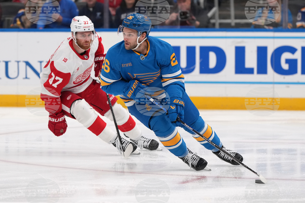 Red Wings Blues Hockey