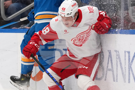 Red Wings Blues Hockey