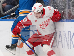 Red Wings Blues Hockey