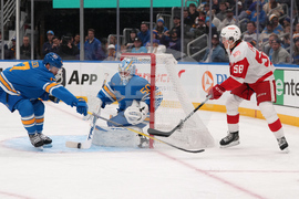 Red Wings Blues Hockey