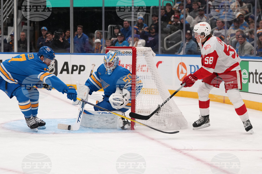 Red Wings Blues Hockey