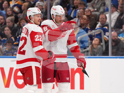 Red Wings Blues Hockey