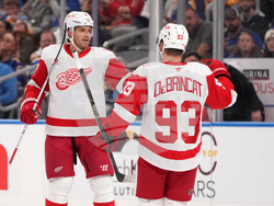 Red Wings Blues Hockey