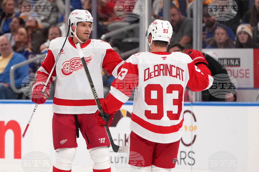 Red Wings Blues Hockey