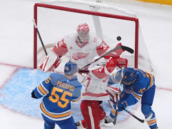 Red Wings Blues Hockey