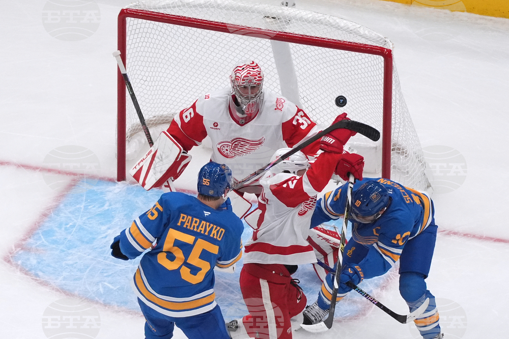 Red Wings Blues Hockey