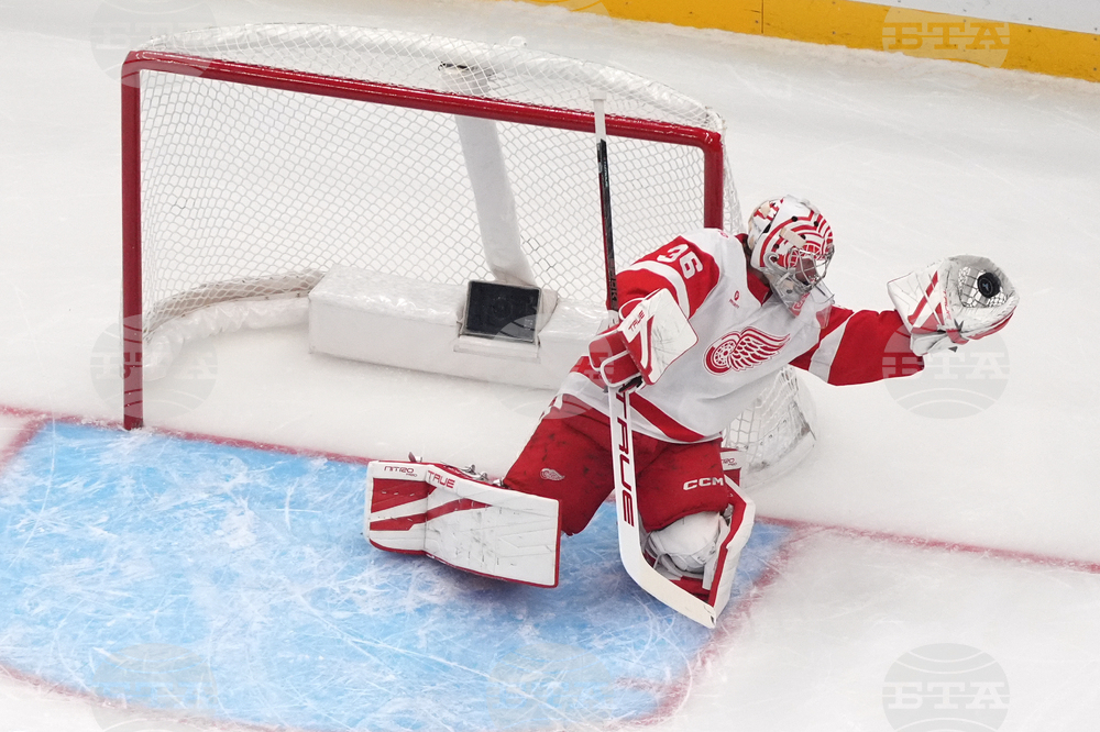 Red Wings Blues Hockey