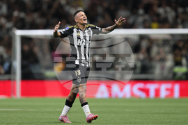 Brazil Ecuador Soccer Copa Sudamericana