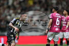 Brazil Ecuador Soccer Copa Sudamericana