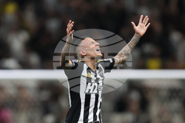 Brazil Ecuador Soccer Copa Sudamericana