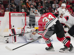 Senators Blackhawks Hockey