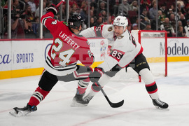 Senators Blackhawks Hockey