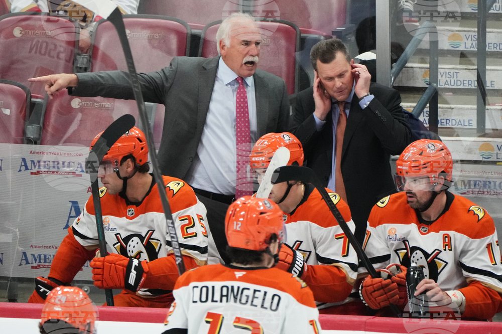 Ducks Panthers Hockey