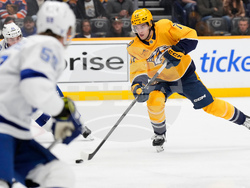 Lightning Predators Hockey