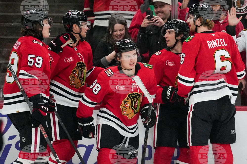 Senators Blackhawks Hockey