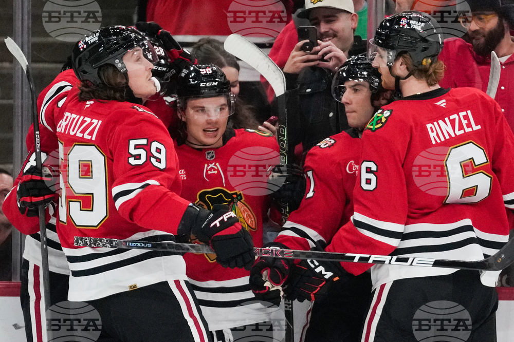 Senators Blackhawks Hockey