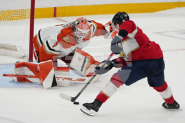 Ducks Panthers Hockey