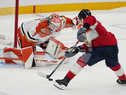 Ducks Panthers Hockey