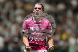 Brazil Ecuador Soccer Copa Sudamericana