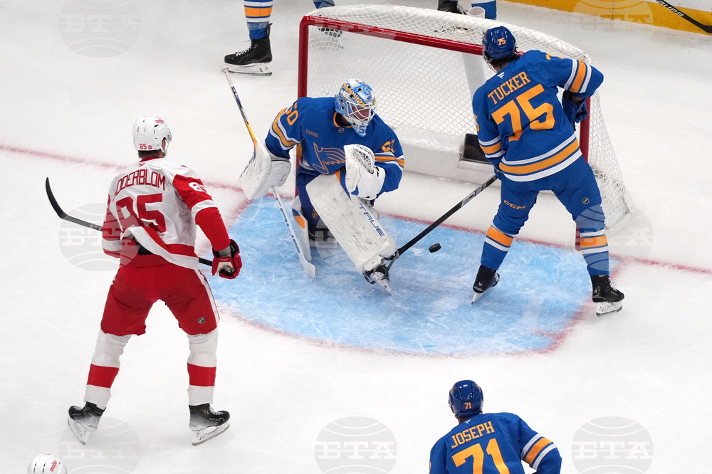 Red Wings Blues Hockey